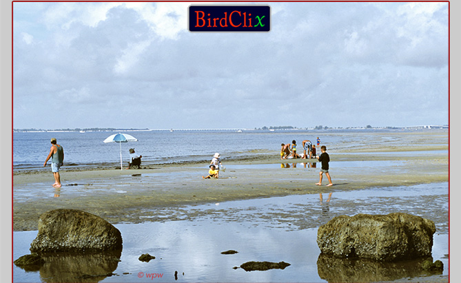 Wide picture of Bunche Beach, San Carlos Bay, FL