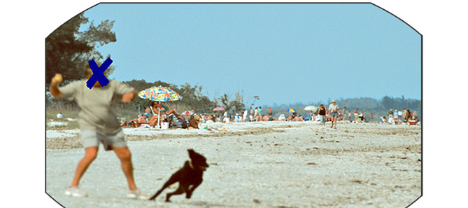 <Picture of Man playing with his un-leashed dog at beach.>