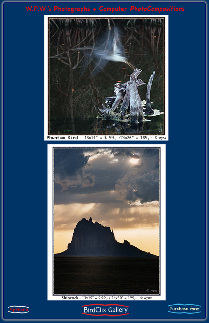 <Phantom bird image and dramatic picture of Shiprock Peak by Wolf Peter Weber, open end gallery prints>