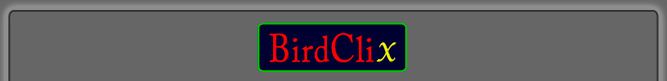 <BirdClix logo>